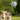 EETOYS Interactive Dog Soccer Ball