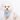 DOUMM Floral Dog Harness & Leash Set