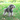 DUOMM Multi-Function Pet Harness