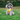 DUOMM Multi-Function Pet Harness