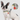 DUOMM Y-Shaped Comfort & Safety Pet Harness