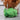 DogLemi Dog Snuffle Ball Toy – Broccoli