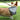 DogLemi Dog Waste Bags