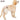 DogLemi Female Dog Diaper – Reusable & Washable