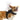 DogLemi Halloween Pet Templar Knights Costume