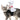 DogLemi Halloween Pet Templar Knights Costume
