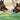 DogLemi Pet Rings Toy