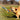 DogLemi Rainbow Candy Chew Toy