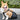 DogLemi Rear Leg Support Drag Bag for Disabled Dogs