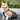DogLemi Rear Leg Support Drag Bag for Disabled Dogs