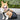 DogLemi Rear Leg Support Drag Bag for Disabled Dogs
