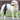 DogLemi Upgrade Dog Knee Brace