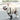 DogLemi® GuardFlex Recovery Shoes