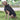 DogLemi® ThermoFlex Waterproof Winter Coat