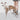 HIDREAM Multi-Function Shock-Absorbing Dog Leash