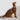 HiDREAM Bobo Explorer Cat Harness & Leash Set