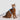 HiDREAM Bobo Explorer Cat Harness & Leash Set