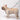 HiDREAM Castle Series Dog Harness