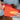 HiDREAM Cone-Shaped Recovery Cone