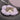 HiDREAM Flower Pet Ez-Collar