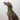 HiDREAM PRO Semi-P Training Collar – Medium/Large Dog