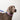 HiDREAM Rainbow Shock-Absorbing Dog Collar