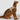 HiDREAM Striped Cat Harness Leash Set