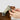 HiDREAM TrackEase Cat Harness & Leash Set – AirTag Compatible