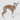 HiDREAM Training Collar with Gentle Tightening
