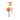 PAWFUN Cotton Rope Ball Toy
