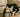 Cat Water Fountains: Are They Worth It? A Practical Guide to Find the Best Cat Water Fountain