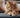 Choosing Cat Litter Made Simple: A Complete Guide