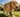 Why is my dog limping? Overthinking or real health risks?