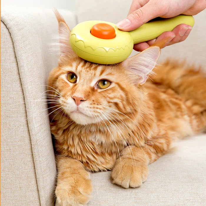 Cat Grooming – Page – Petsworthy