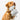 A Golden Retriever holding a plush dog toy with gray and white stripes. Soft and durable, perfect for chewing, fetching, and comforting your furry friend.