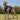 DUOMM MetroShield Reflective Tactical Dog Harness