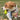 LaRoo Squeaky Dumbbell Rubber Dog Toy
