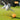 LaRoo Squeaky Softball Rubber Dog Toy