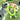 LaRoo Extra Large Interactive EVA Dog Fitness Ring