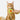 AIWO Grooming Pet Brush (Donut)