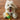 Q-Monster Corn Plush Dog Toy