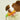 FOFOS Veggie Bites Dog Toys Series