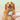 Michu Cream Round-Head Grooming Pet Brush