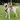 DUOMM Escape-Proof Dog Harness