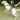 DUOMM Escape-Proof Dog Harness