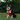 DUOMM Multi-Function Pet Harness