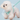 DUOMM ColorPop Small Dog Harness