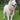 DUOMM TrailGuard No-Pull Dog Harness