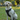 DUOMM Reflective Harness with ID Tag & Handle