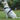 DUOMM Reflective Harness with ID Tag & Handle